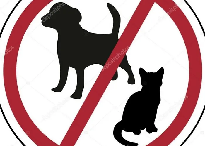 Διαμέρισμα Julia's